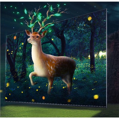 海佳彩亮/CAILIANG P2.0 LED顯示屏 100cm*100cm 2.5m視距 室內全彩顯示屏